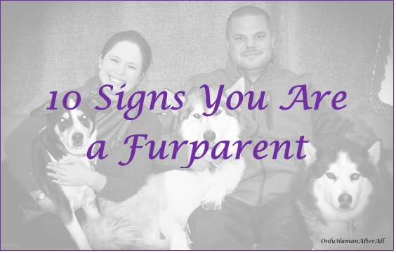 10 Signs You Are a Furparent... How many of these have you experienced?